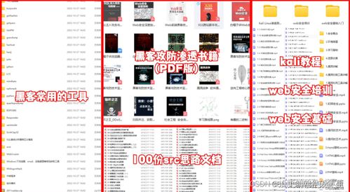 網(wǎng)絡(luò)安全與黑客技術(shù) 自學(xué)計算機(jī)軟硬件的全面指南